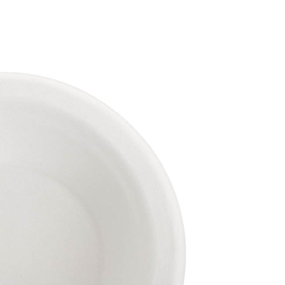 Pack of 100 Sugarcane Lunch Plate - White - Notbrand