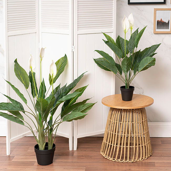 Spathiphyllum Artificial Potted Plant with Real Touch Finish - 76cmH - Notbrand
