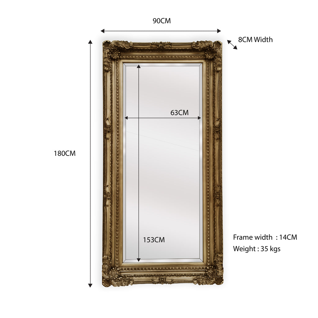 Lux French Provincial Ornate Mirror - Antique Champagne - NotBrand