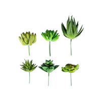 Artificial 6 Plastic Succulent Stems In Mulitcolour - Small - Notbrand