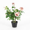 Lagerfield Fabric Pink Rose Potted Artificial Plant - MulitColour - Notbrand