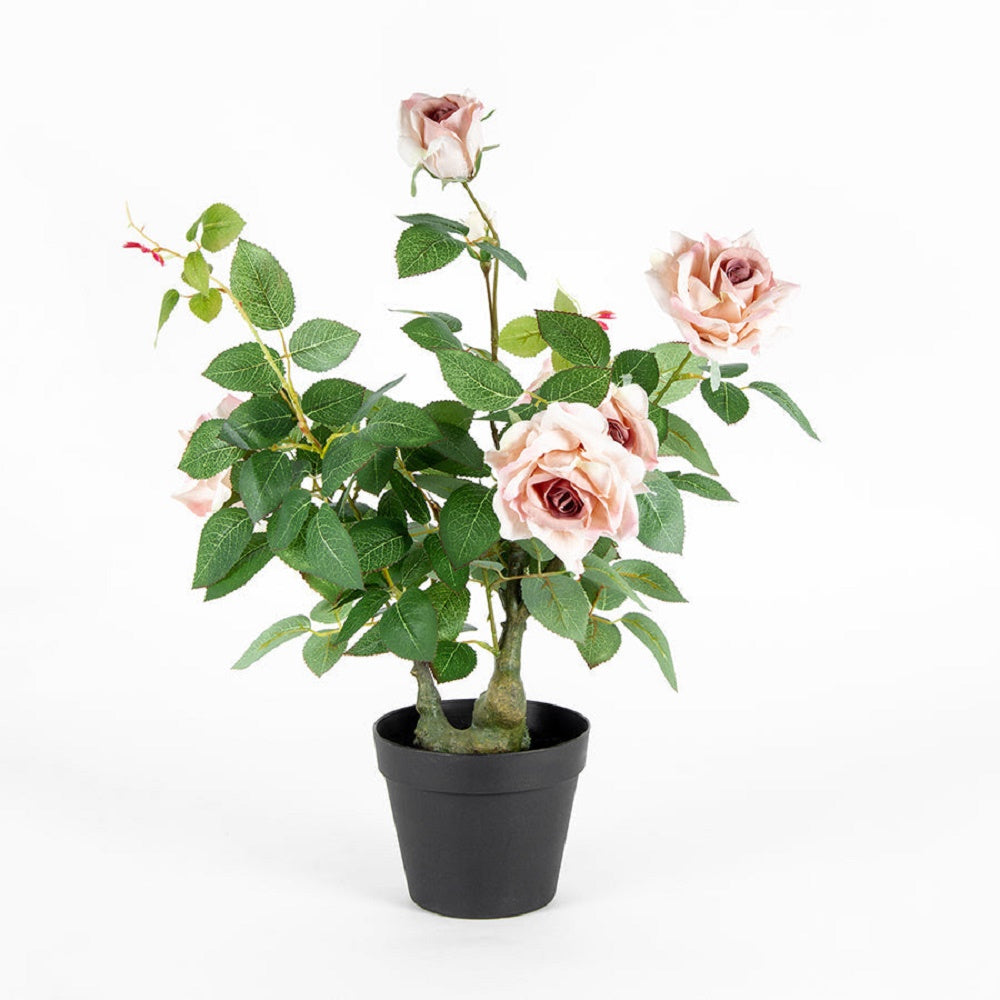 Lagerfield Fabric Pink Rose Potted Artificial Plant - MulitColour - Notbrand
