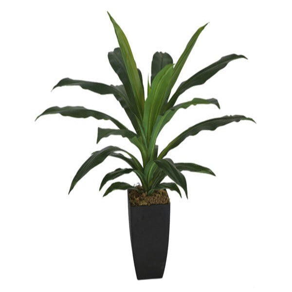 Artificial Faux Dracaena Potted Plant - 58cm - Notbrand