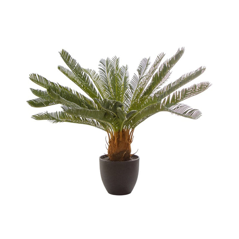 Artificial Cycas Palm Potted Green (70cm) - Notbrand