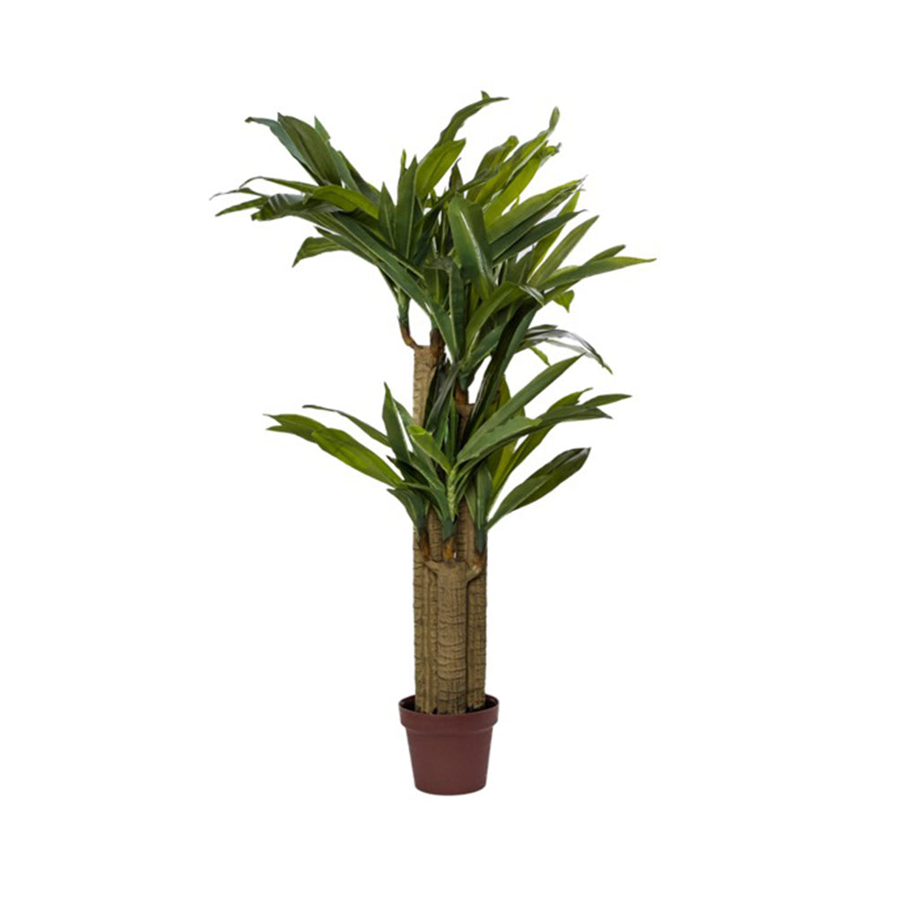Artificial Dracaena Potted Green (120cmH) - Notbrand