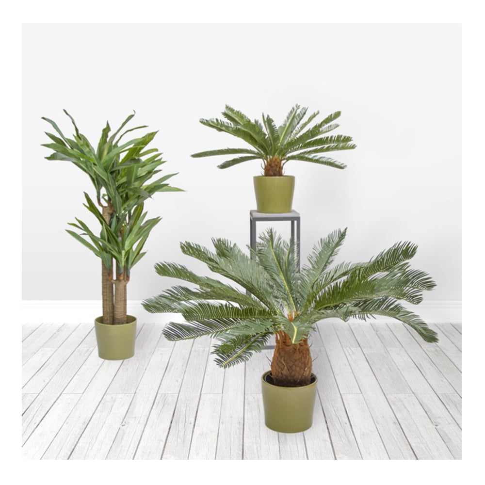 Artificial Dracaena Potted Green (120cmH) - Notbrand