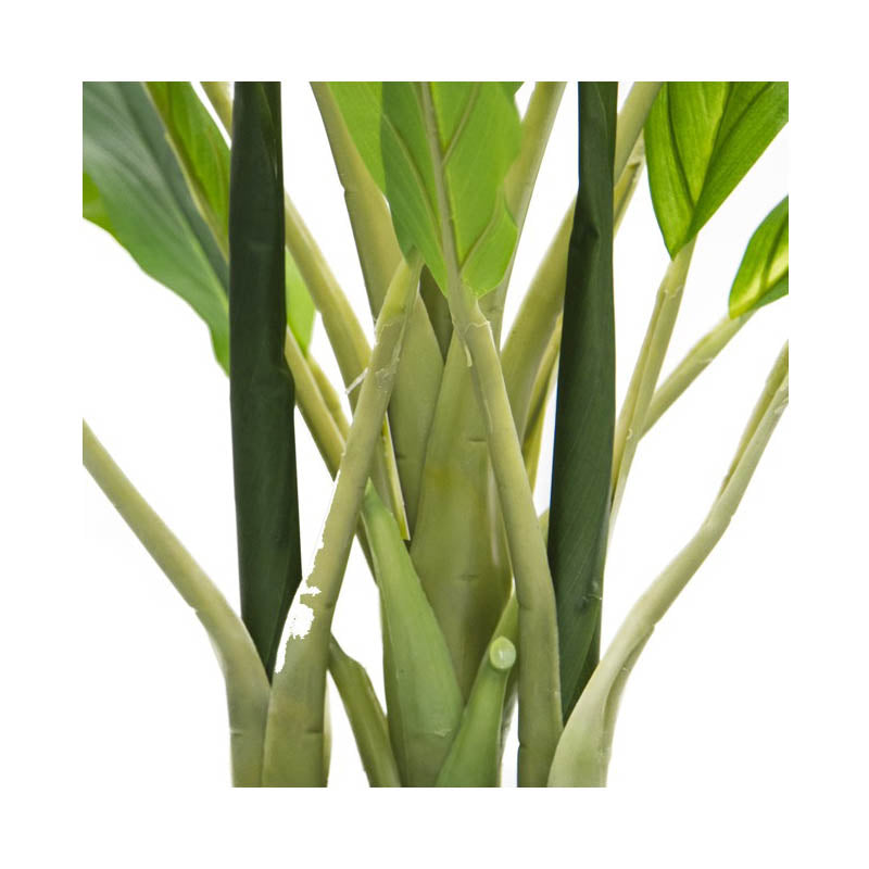 Artificial Dracaena Potted Plant Fresh Look (85cmH) - Notbrand