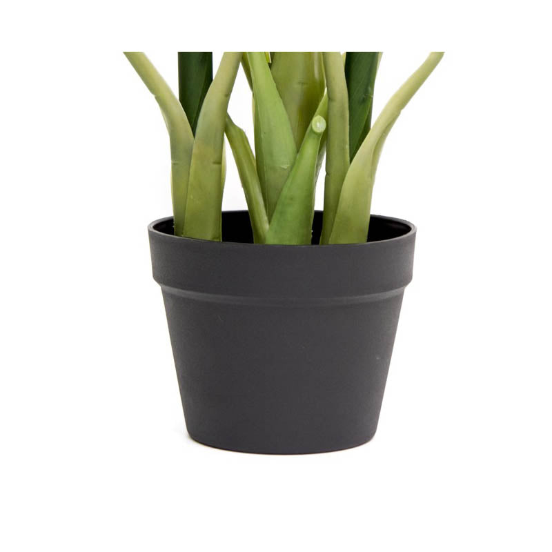 Artificial Dracaena Potted Plant Fresh Look (85cmH) - Notbrand