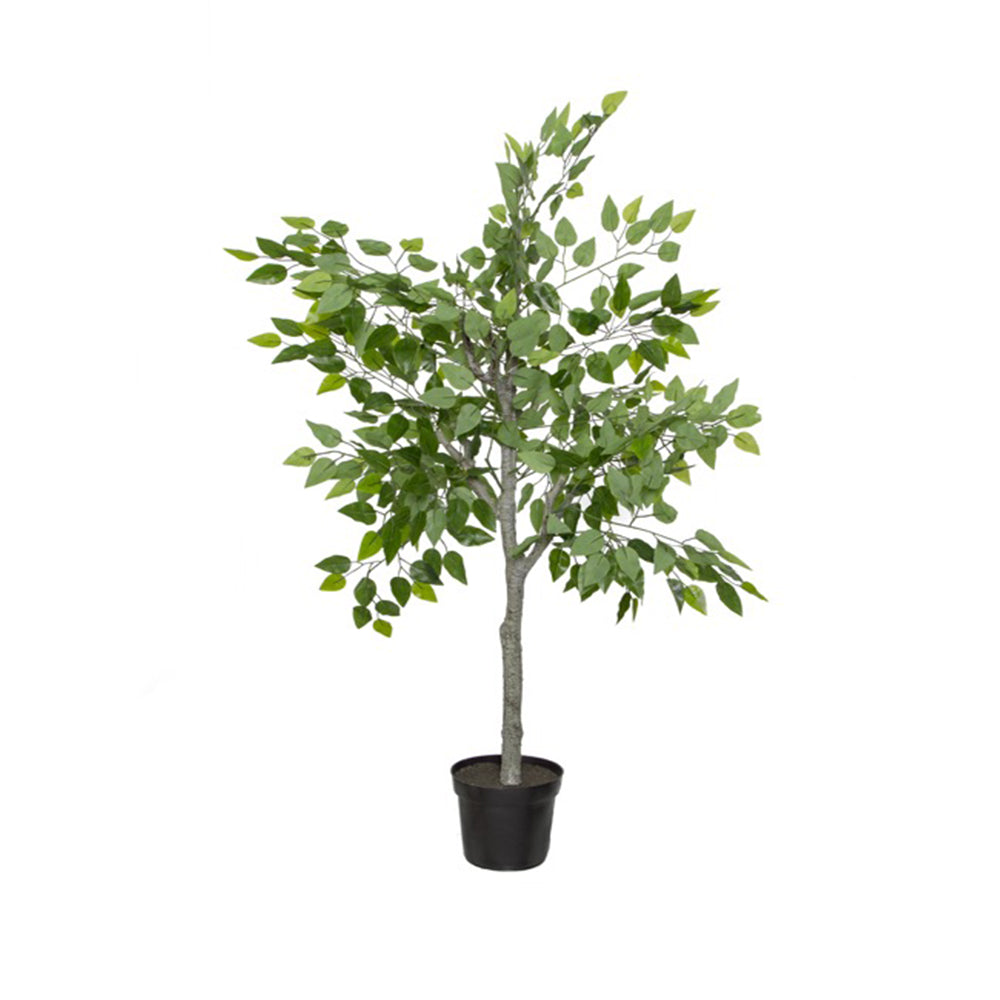 Artificial Ficus Tree Potted Green (150cmH) - Notbrand