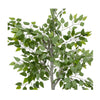 Artificial Ficus Tree Potted Green (150cmH) - Notbrand