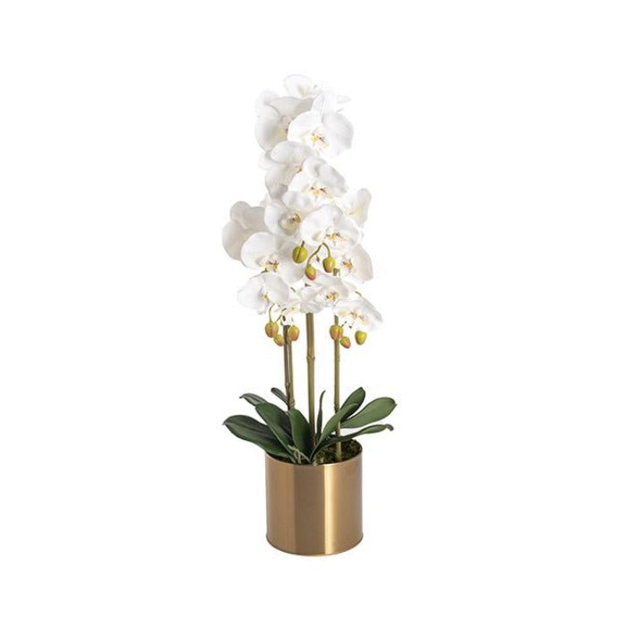 Artificial Orchid Pot Plant 3 Stem - White - NotBrand