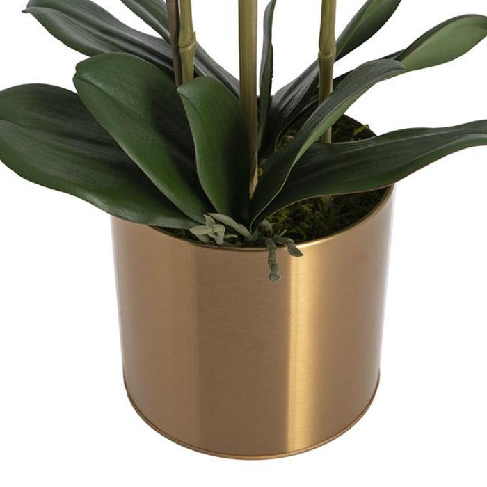 Artificial Orchid Pot Plant 3 Stem - White - NotBrand