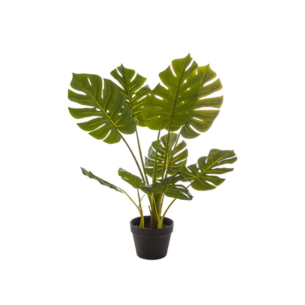Artificial Split Philo Tree Potted Green (85cm) - Notbrand