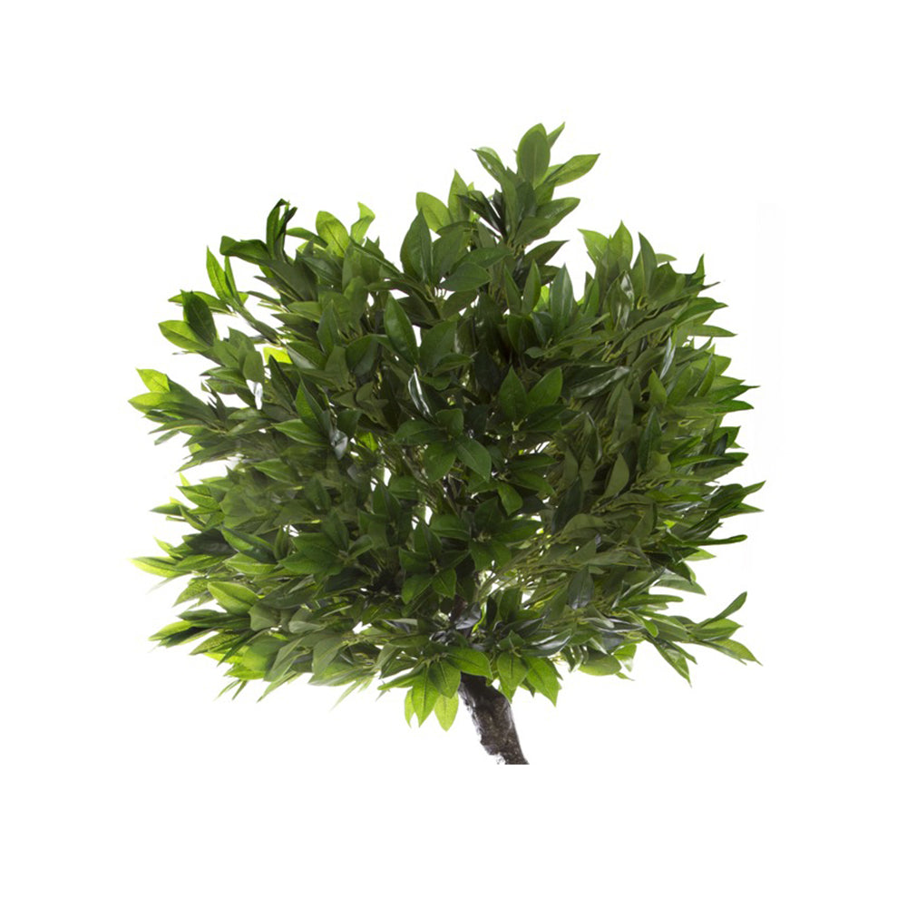Artificial Topiary Tree Laurel Leaf Potted Green (160cmH) - Notbrand