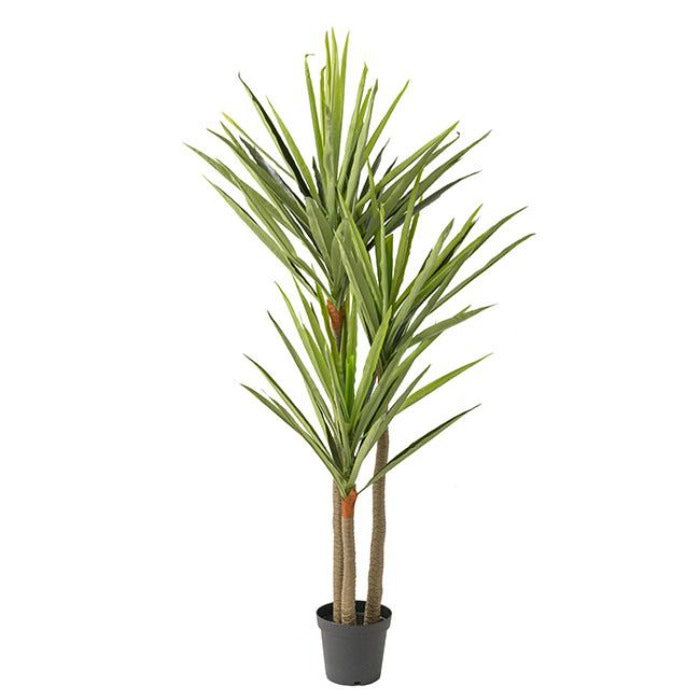 Real Touch 3 Head Yucca Potted Tree - Green - NotBrand