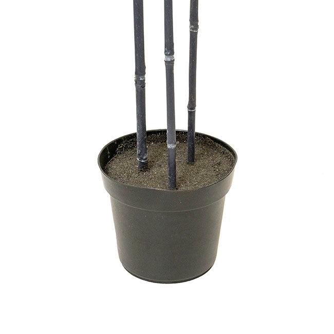 Real Touch 3 Stem Bamboo Potted Tree - Green - Notbrand