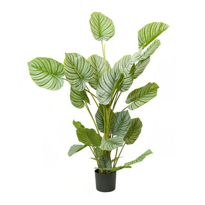 Real Touch Arrowroot Potted Plant - Green - NotBrand