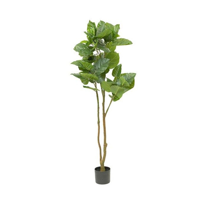 Real Touch Ficus Umbellata Potted Tree - Green - NotBrand