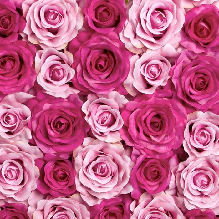 Rose Wall Flower - Pink - Notbrand