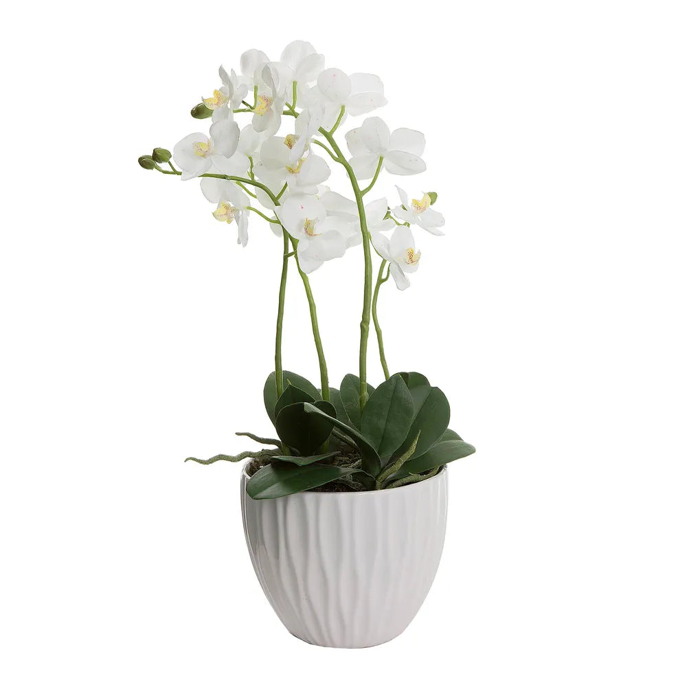 Orchid in White Pot with White Artificial Flower - 60cm - Notbrand