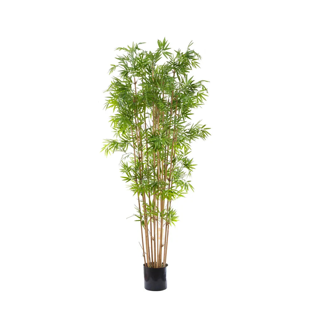 Artificial Japanese Bamboo Tree - 190cm - Notbrand