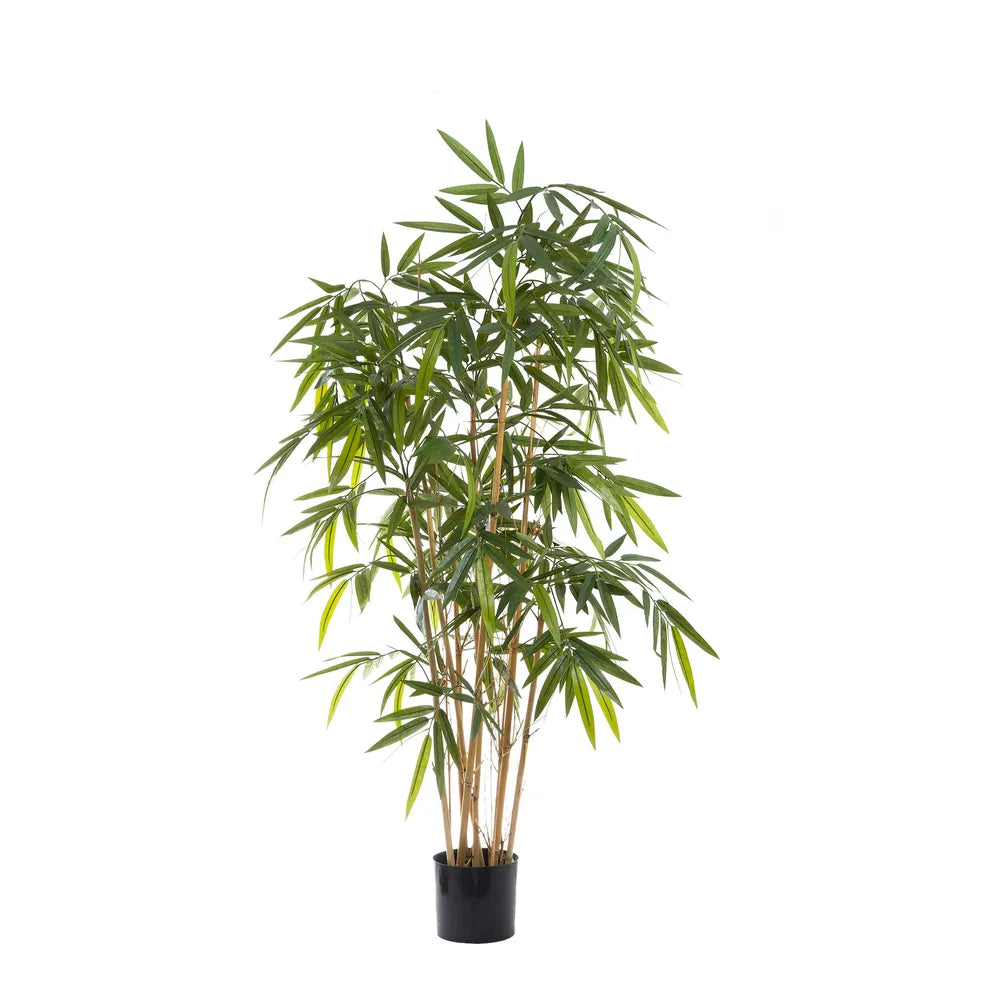 Artificial New Budget Bamboo Tree - 160cm - Notbrand