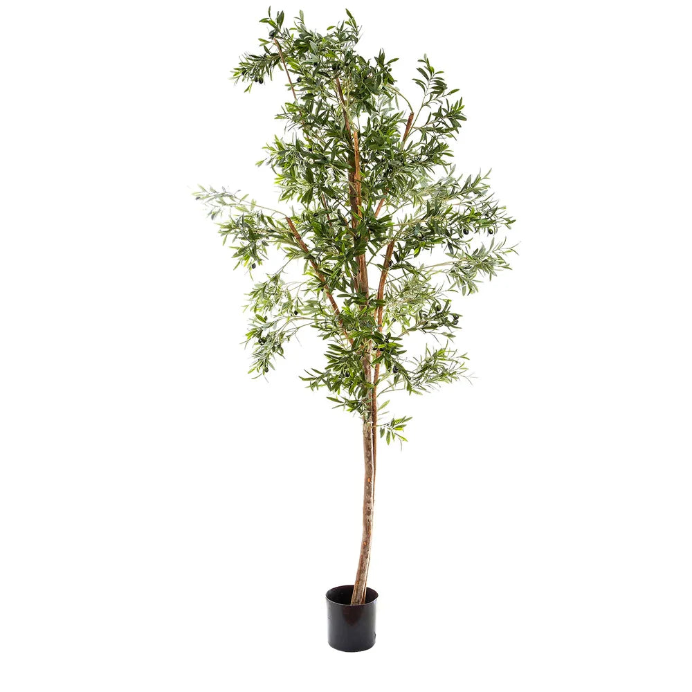 Artificial Olive Tree - 240cm - Notbrand
