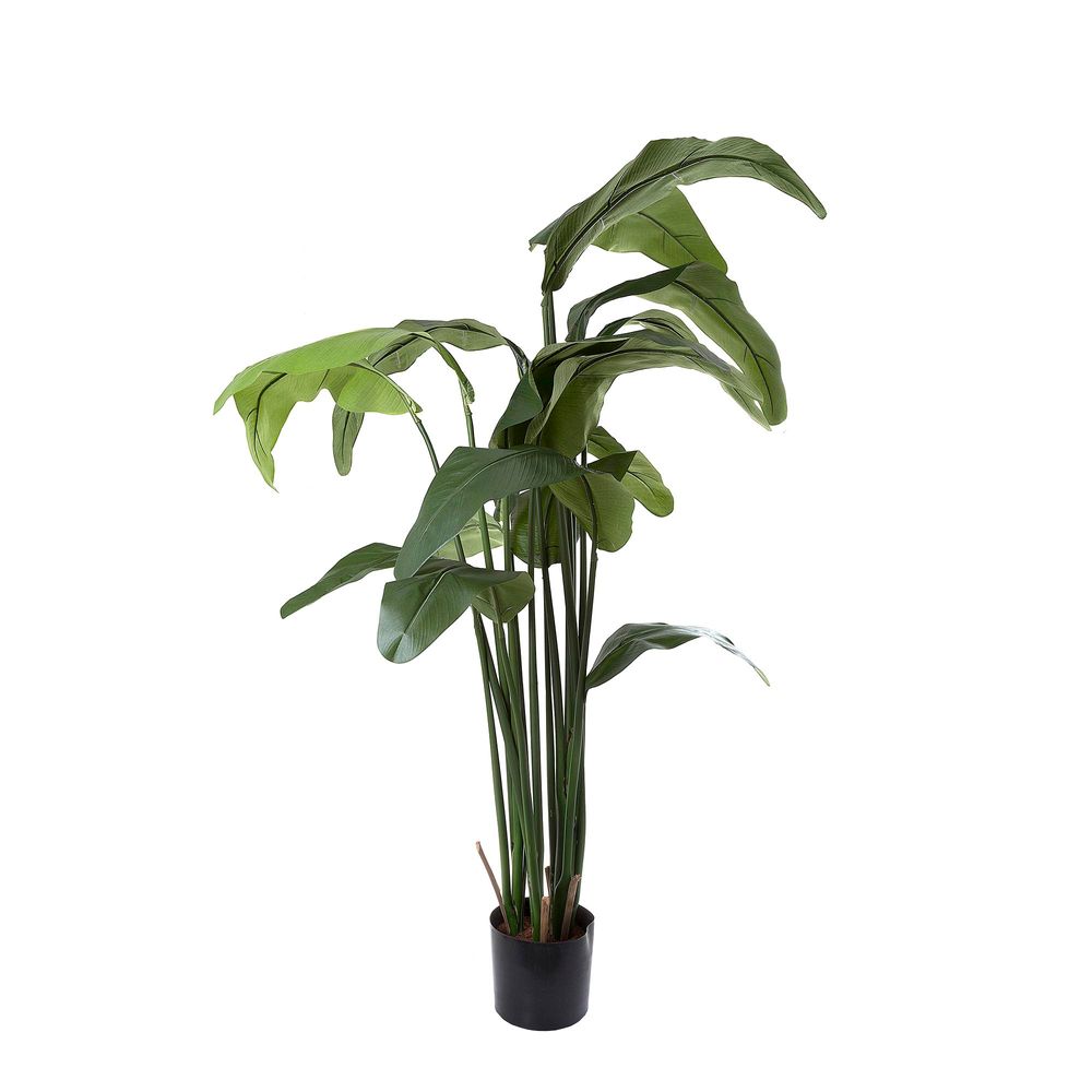 Travellers Faux Palm Tree - 1.8m - Notbrand