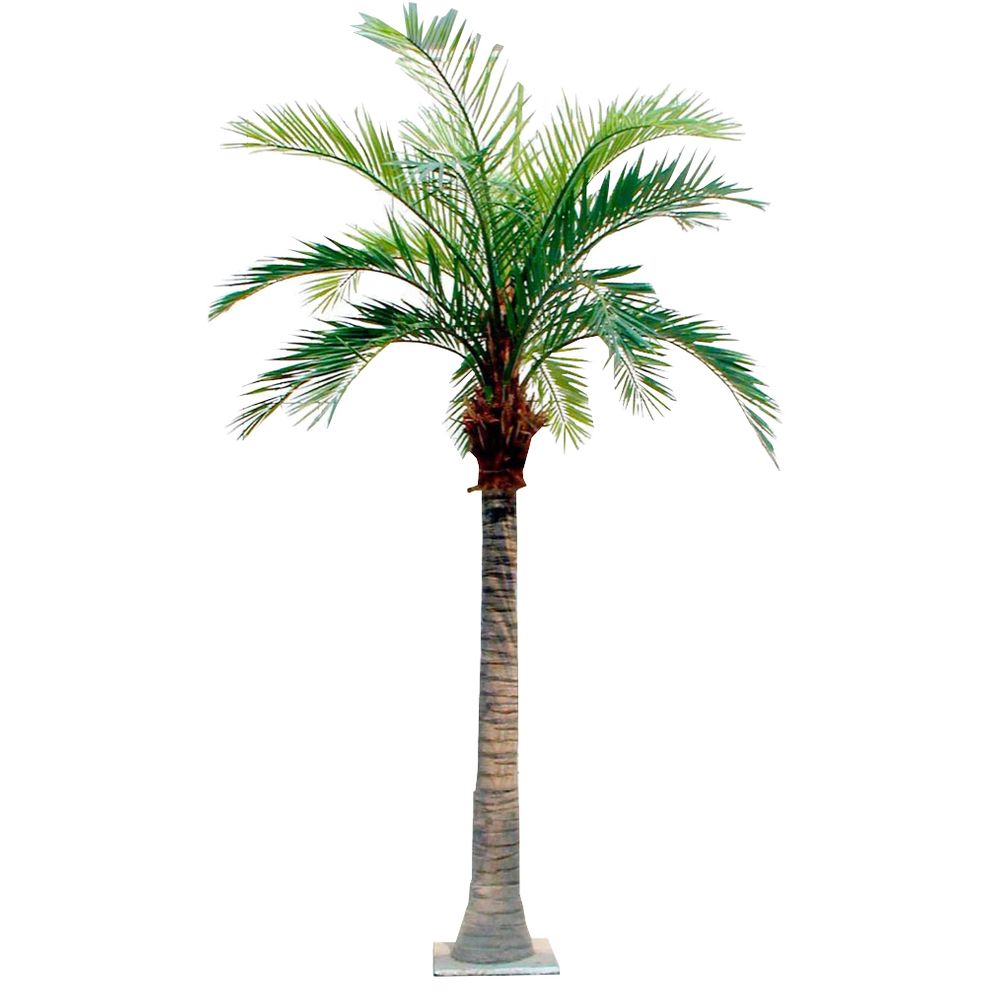Coconut Palm Giant Artificial Tree - 5.5m - Notbrand