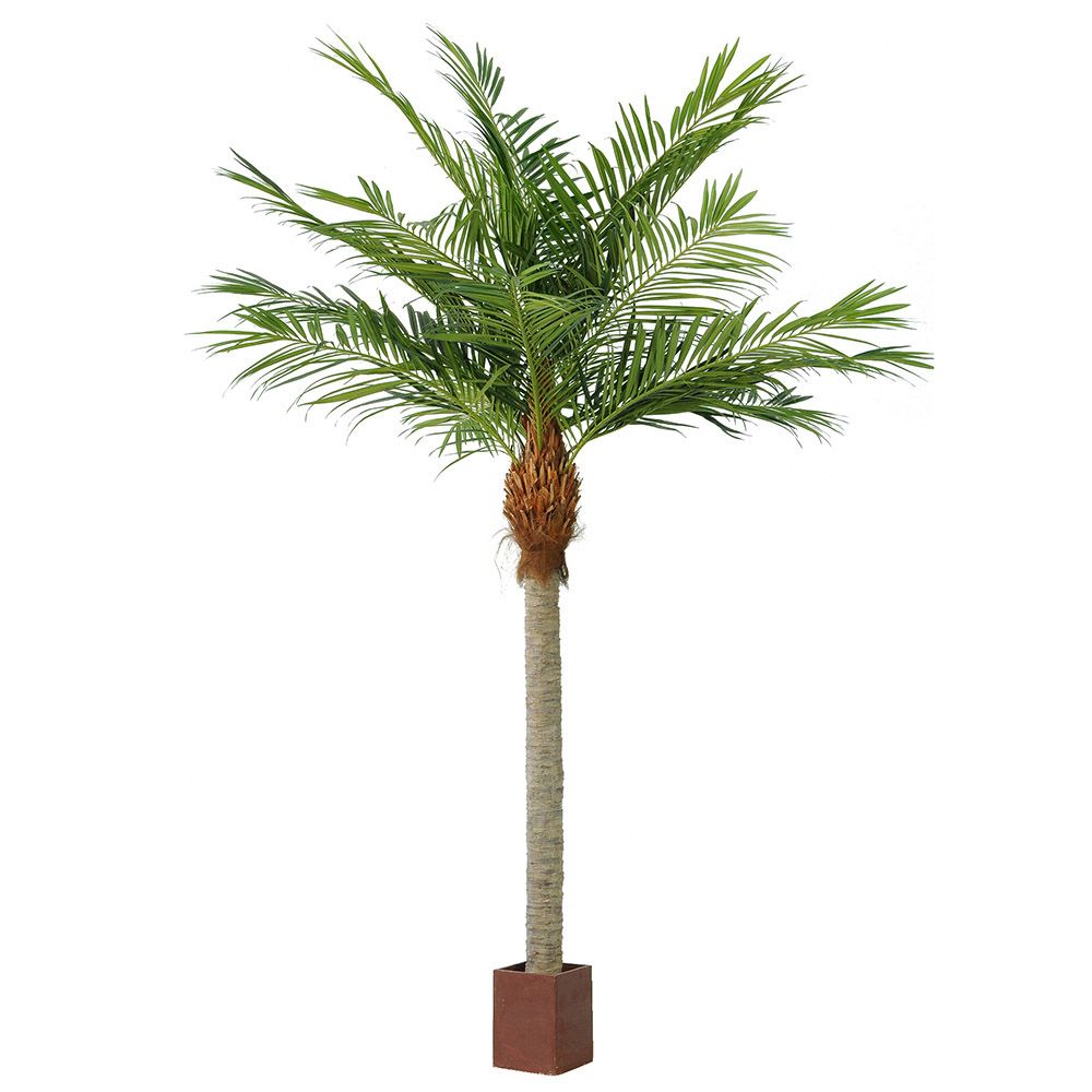 Majesty Palm Giant Artificial Potted Tree - 4.9m - Notbrand
