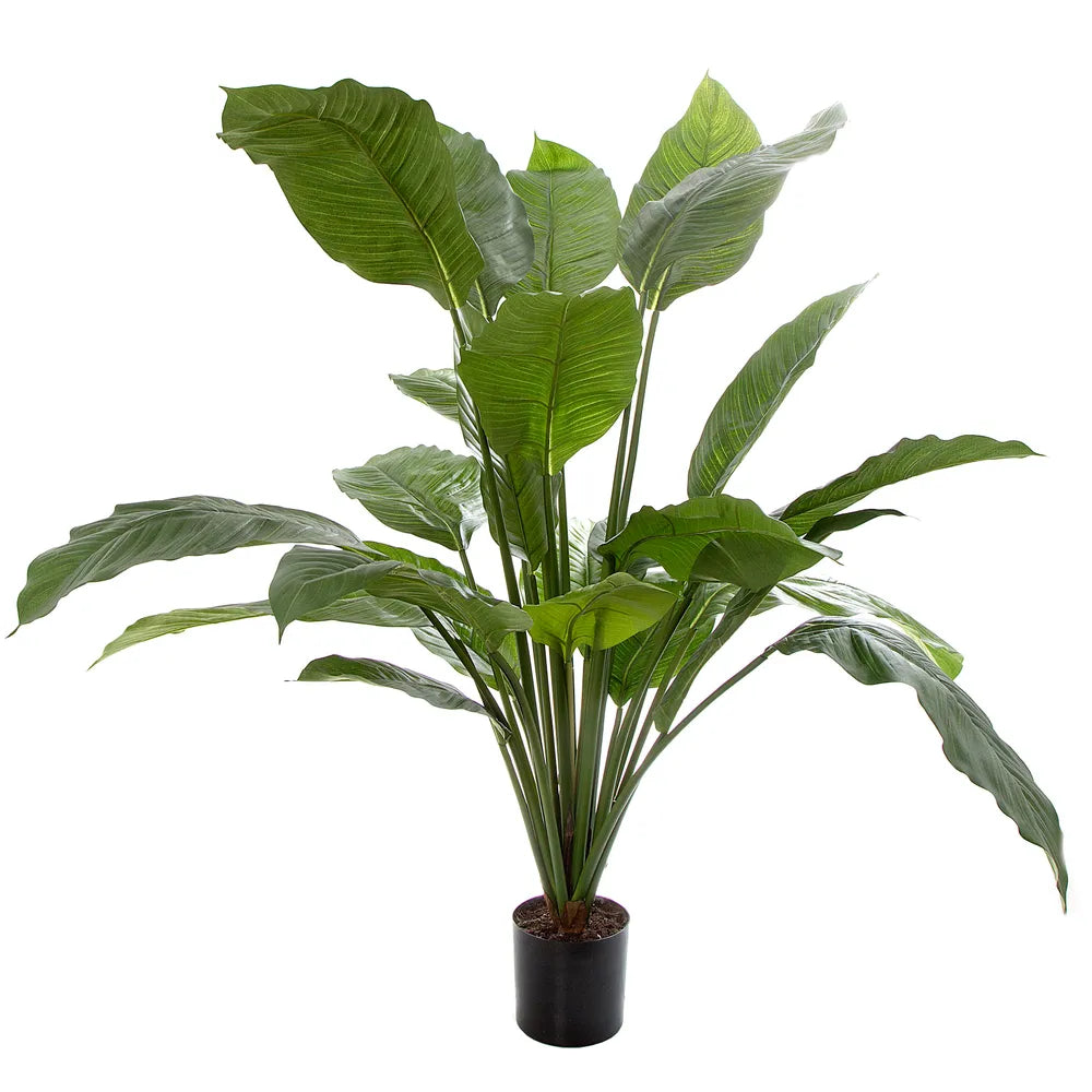 Artificial Spathiphyllum Potted - 100cm - Notbrand