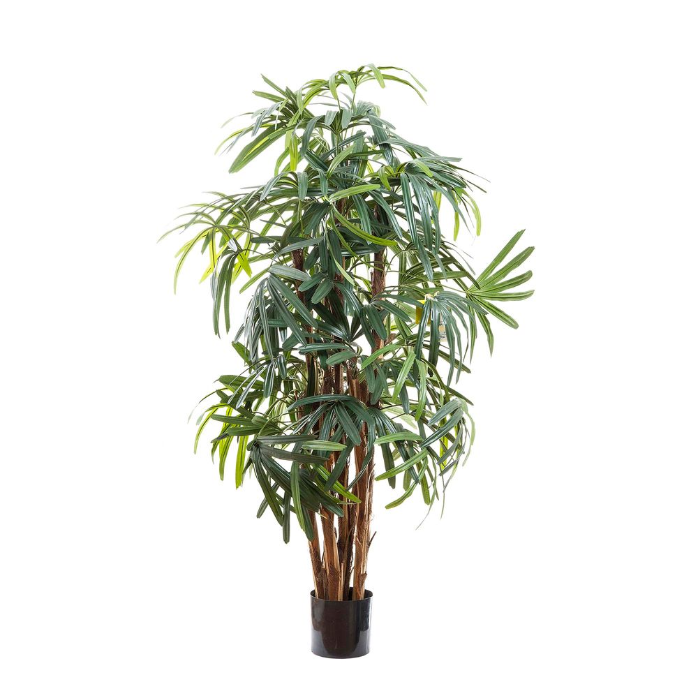 Thin Leaf Raphis Palm Artificial Tree - 1.6m - Notbrand