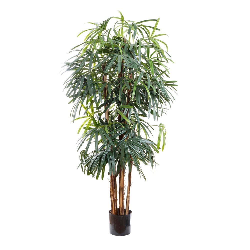 Thin Leaf Raphis Palm Artificial Tree - 1.8m - Notbrand