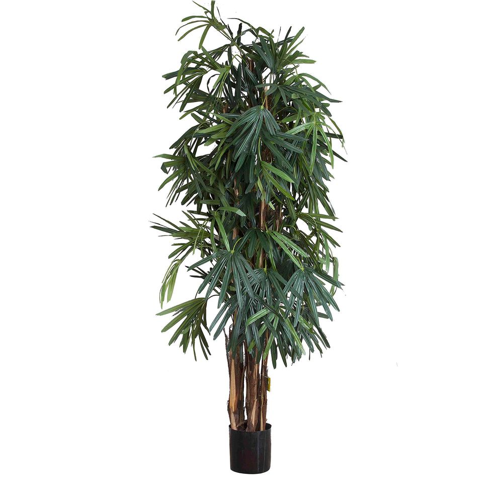 Thin Leaf Raphis Palm Artificial Tree - 2.0m - Notbrand