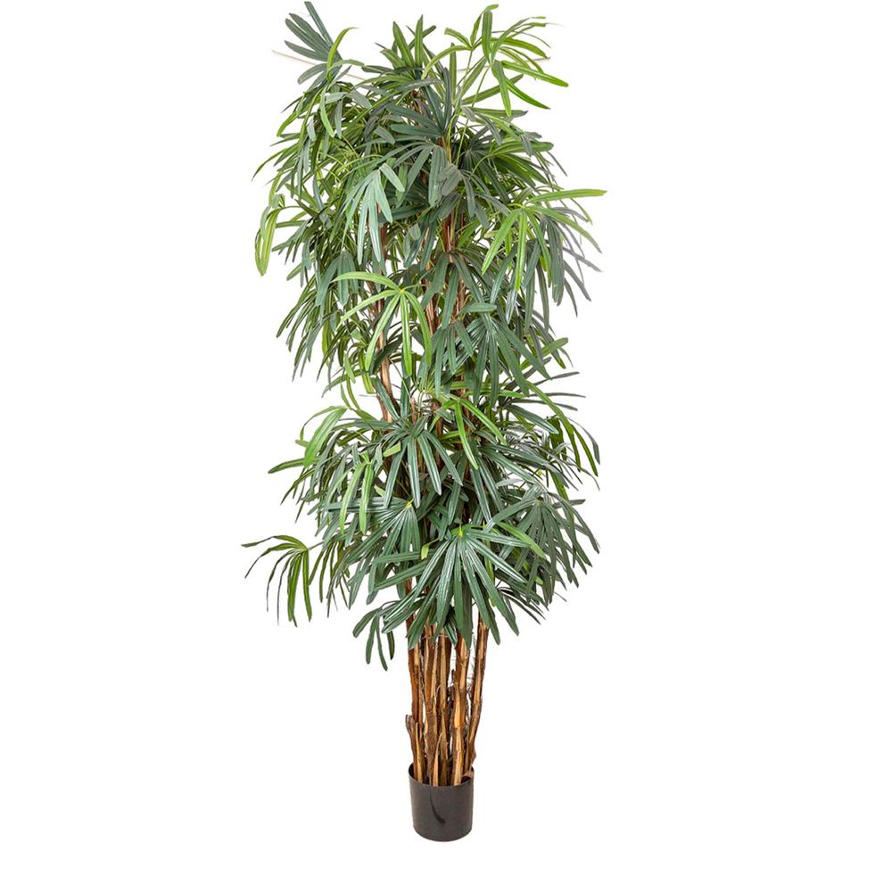 Thin Leaf Raphis Palm Artificial Tree - 2.4m - Notbrand