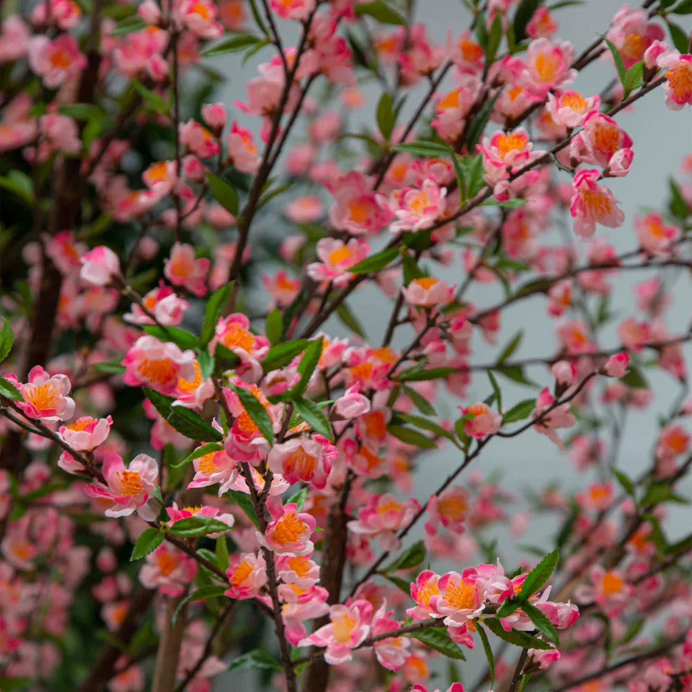 Artificial Gaint Cherry Blossom Tree - 240cm - Notbrand