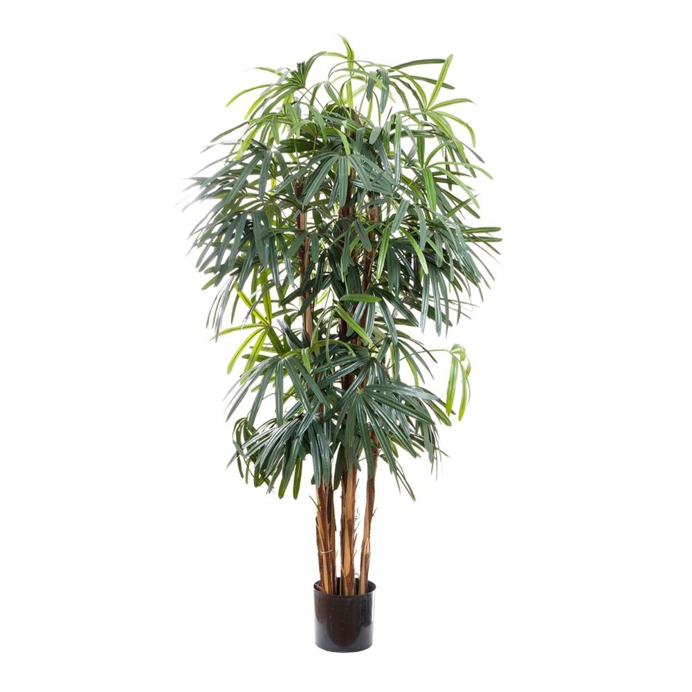 Broad Leaf Raphis Palm Artificial Tree - 1.8m - Notbrand