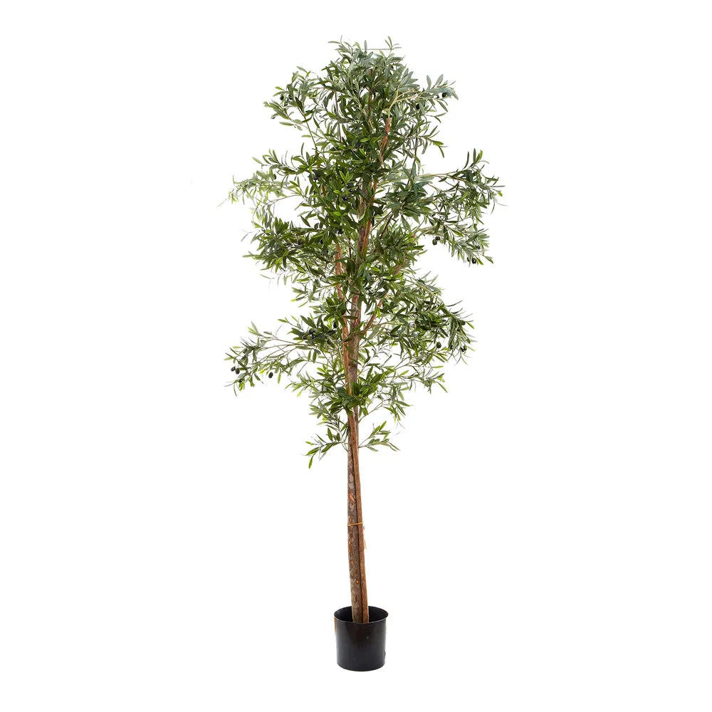 Artificial Olive Tree - 200cm - Notbrand
