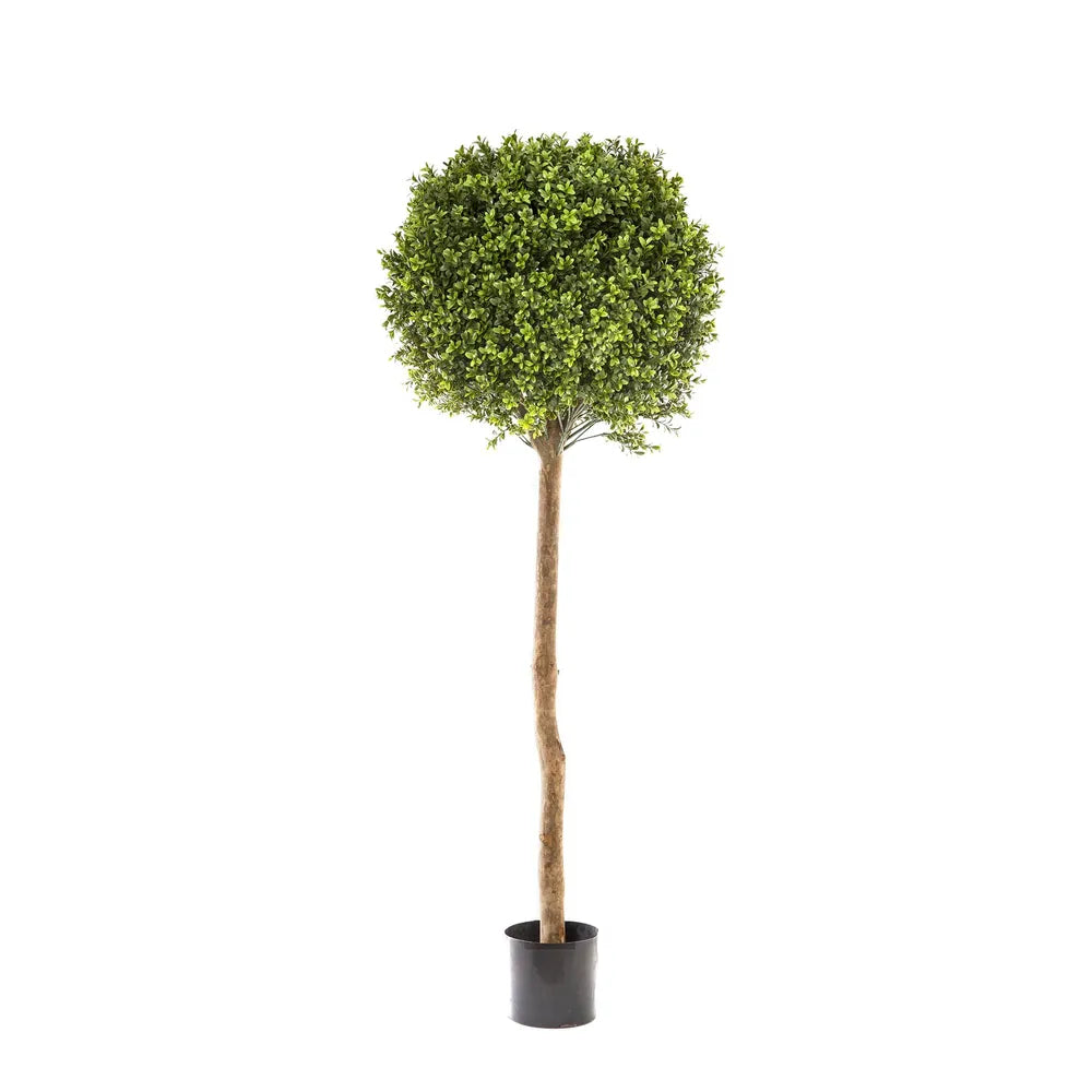 Artificial Boxwood Ball Tree - 150cm - Notbrand