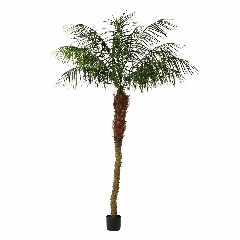 Phoenix Artificial Palm Tree - 2.4m - Notbrand