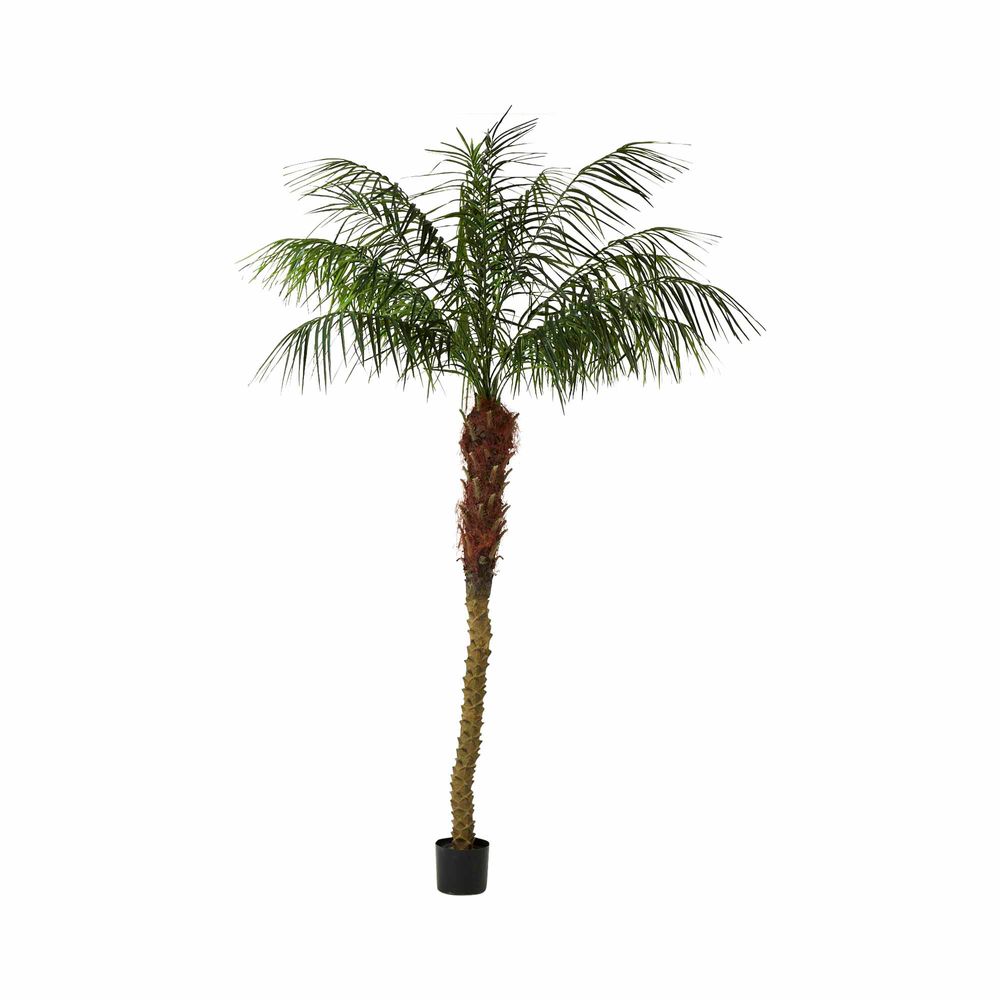Phoenix Artificial Palm Tree - 2.1m - Notbrand