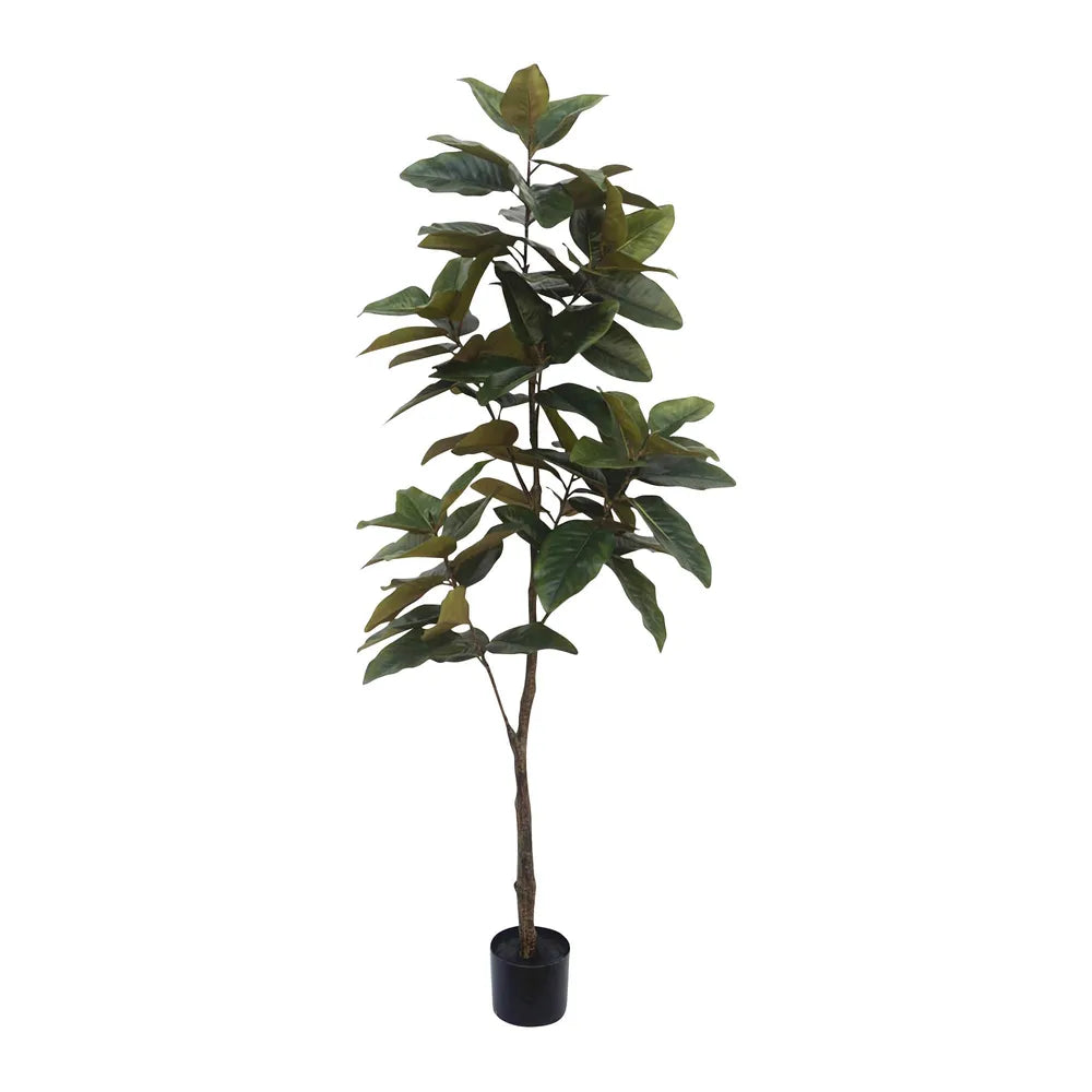 Artificial Real Touch Magnolia Tree - 170cm - Notbrand