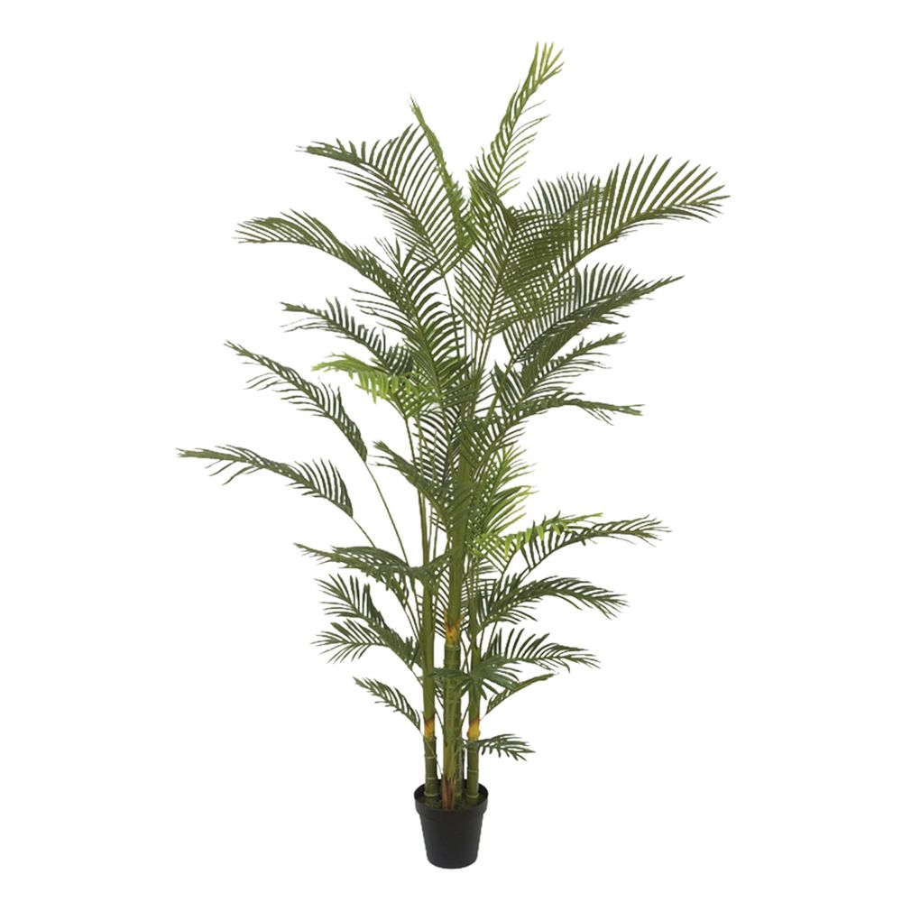 Artificial Real Touch Palm Tree in Black Pot - 2.1m - Notbrand