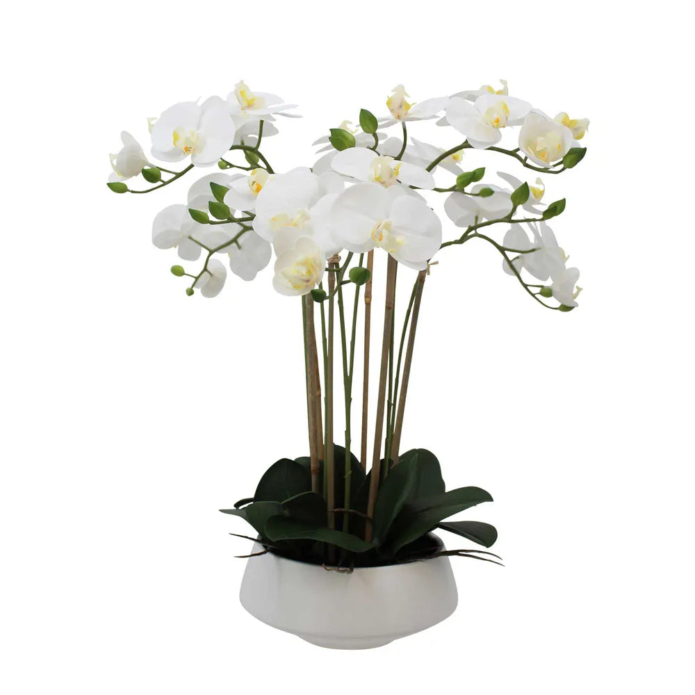 Orchid Artificial White Flower in White Pot - Large - Notbrand
