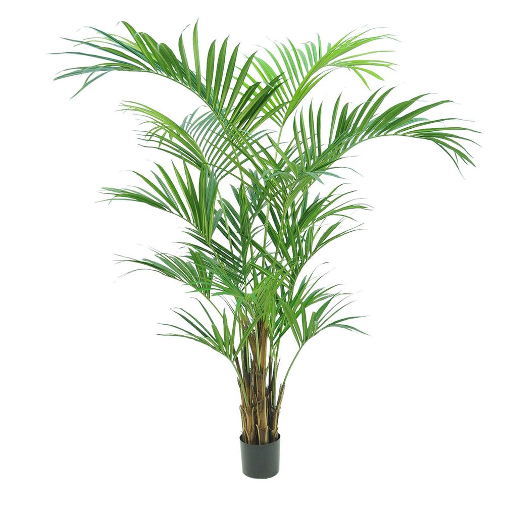 Kentia Faux Palm Tree - 2.1m - Notbrand