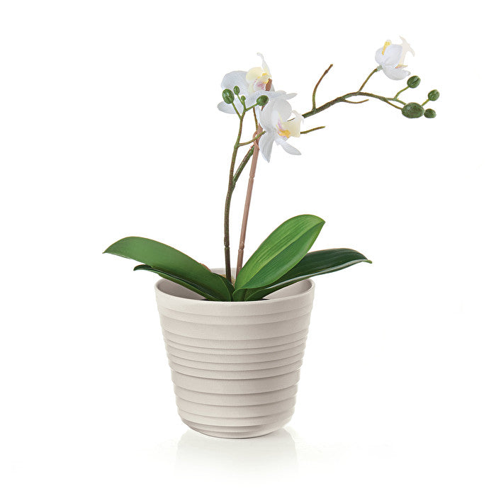 Set of 2 Tierra Pot Planter in Taupe - 1L - Notbrand