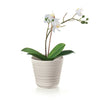 Set of 2 Earth Tierra Pot Planter in Clay - 1L - Notbrand