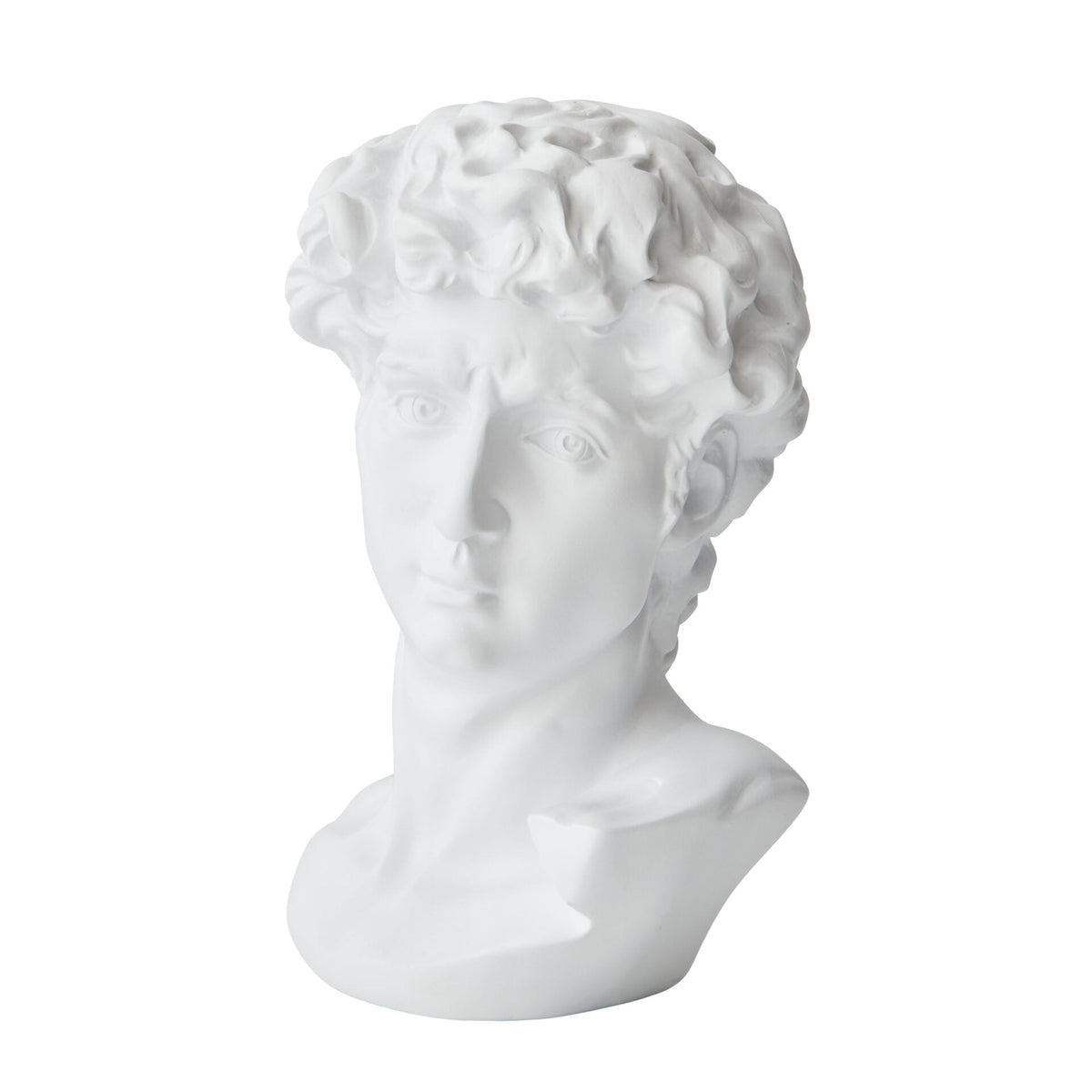 David Head Bust in Resin - White - Notbrand