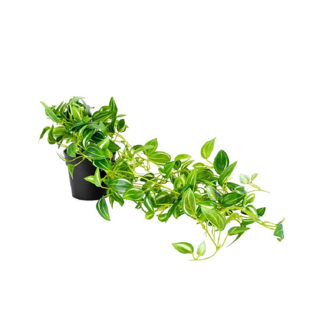 Faux Potted Hanging Weeper Plant - 72cm - Notbrand