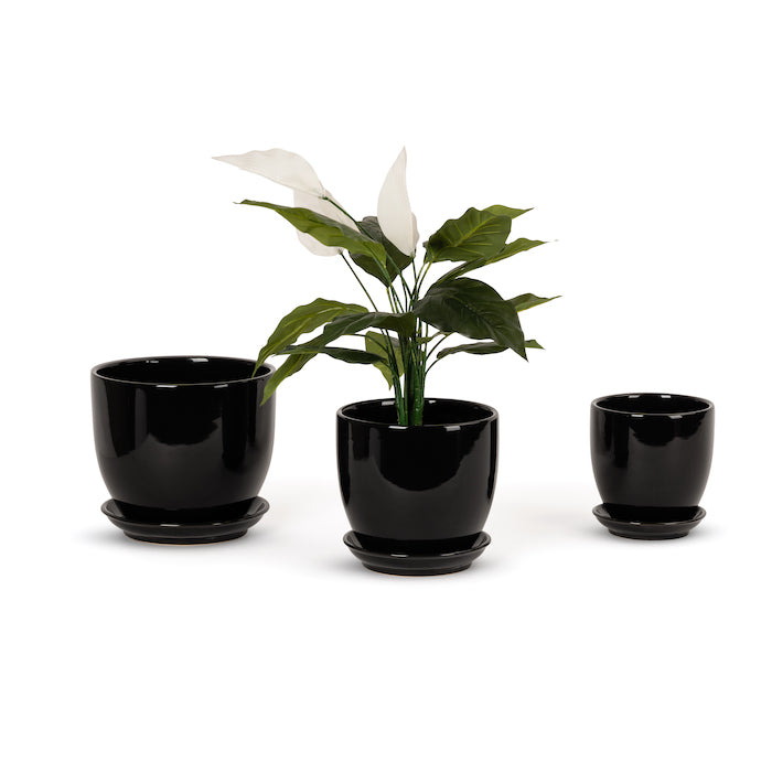 Set of 6 Tulip Ceramic Pots - Gloss Black - Notbrand